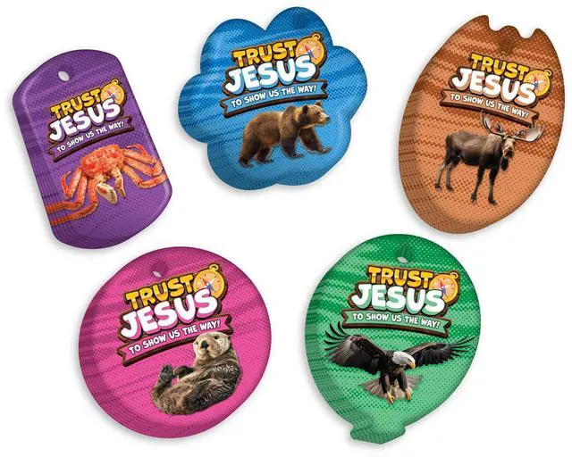 Main image of 2025 VBS (Vacation Bible School) Faith Tag Value Pack. Trust North for Direction: 500 Brag Tags (100 Tags per Design) + 150 Hypoallergenic, USA-Made Aluminum Safety Chains
