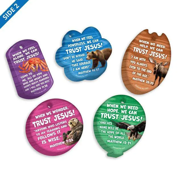 Alt view image 2 of 7 - 2025 VBS (Vacation Bible School) Faith Tag Value Pack. Trust North for Direction: 500 Brag Tags (100 Tags per Design) + 150 Hypoallergenic, USA-Made Aluminum Safety Chains