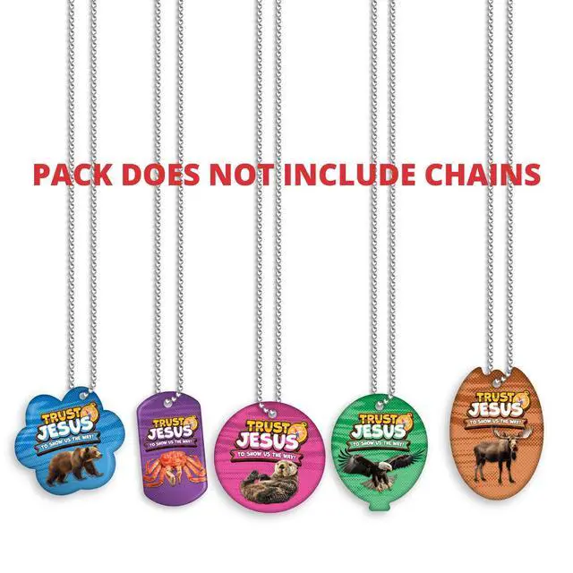 Alt view image 3 of 7 - 2025 VBS (Vacation Bible School) Faith Tag Value Pack. Trust North for Direction: 500 Brag Tags (100 Tags per Design)