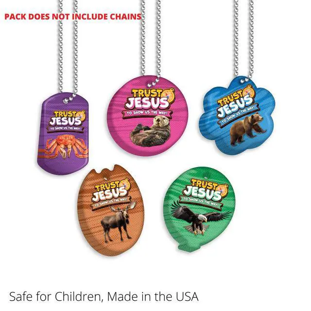Alt view image 5 of 7 - 2025 VBS (Vacation Bible School) Faith Tag Value Pack. Trust North for Direction: 500 Brag Tags (100 Tags per Design)