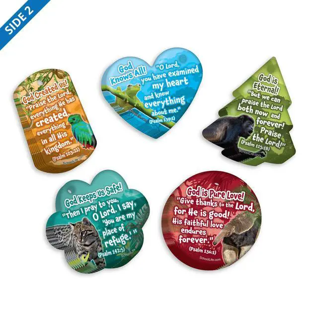 Alt view image 2 of 7 - 2026 Faith Brag Tags VBS (Vacation Bible School) Discover the Nature of God Value Pack: 500 Brag Tags (100 for Each Design)