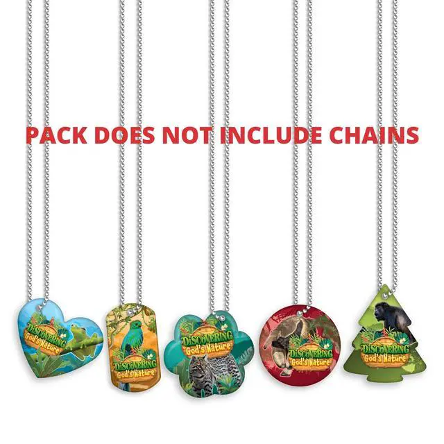 Alt view image 3 of 7 - 2026 Faith Brag Tags VBS (Vacation Bible School) Discover the Nature of God Value Pack: 500 Brag Tags (100 for Each Design)