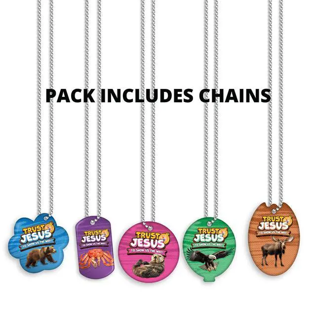 Alt view image 3 of 7 - 2025 VBS (Vacation Bible School) Faith Tag Value Pack. Trust North for Direction: 500 Brag Tags (100 Tags per Design) + 150 Hypoallergenic, USA-Made Aluminum Safety Chains