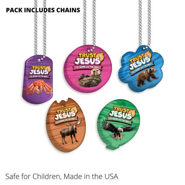 Alt view image 5 of 7 - 2025 VBS (Vacation Bible School) Faith Tag Value Pack. Trust North for Direction: 500 Brag Tags (100 Tags per Design) + 150 Hypoallergenic, USA-Made Aluminum Safety Chains