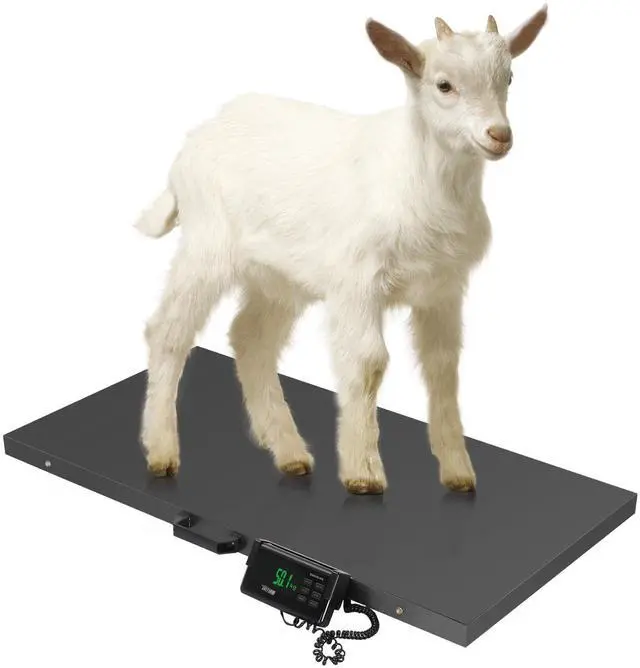 Main image of 1100Lbs x 0.2Lbs Postal Digital Shipping Livestock Scale, Electronic Stainless Steel Platform Heavy Duty Vet Animal Floor Scale,Dog Puppy Pig Goat Sheep Scale, Black
