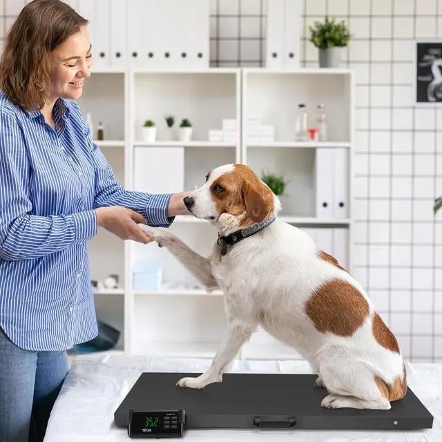 Alt view image 5 of 7 - 1100Lbs x 0.2Lbs Postal Digital Shipping Livestock Scale, Electronic Stainless Steel Platform Heavy Duty Vet Animal Floor Scale,Dog Puppy Pig Goat Sheep Scale, Black