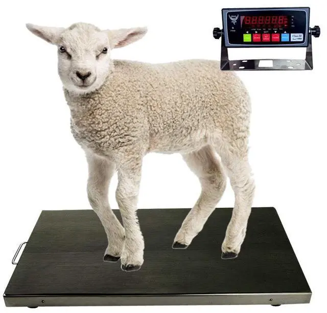 Main image of PEC Livestock Animal Scale/Farm Animal Scales for Weighing Small to Medium Sized Animals, Lamb, Goat, Sheep, Pigs, hogs, Donkey, Calf, Digital Indicator Included, Capacity 700lbs (38 x 20)