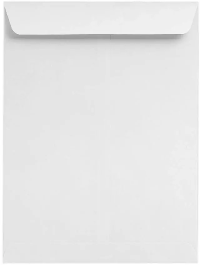 Main image of Jumbo Envelopes | 11" x 17" | Bright White | 28lb. Text | 250 Qty