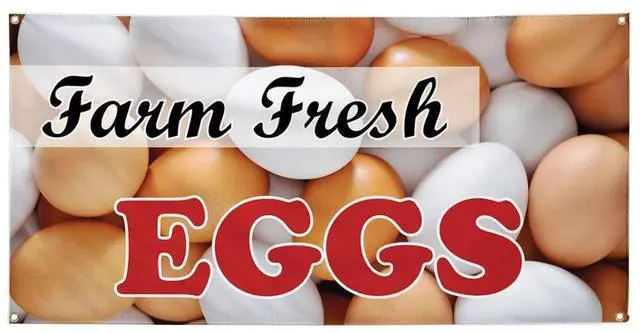 Main image of Vinyl Banner Multiple Sizes Farm Fresh Eggs Advertising Printing B Food & Beverage Eggs Outdoor Weatherproof Industrial Yard Signs White 10 Grommets 60x144Inches
