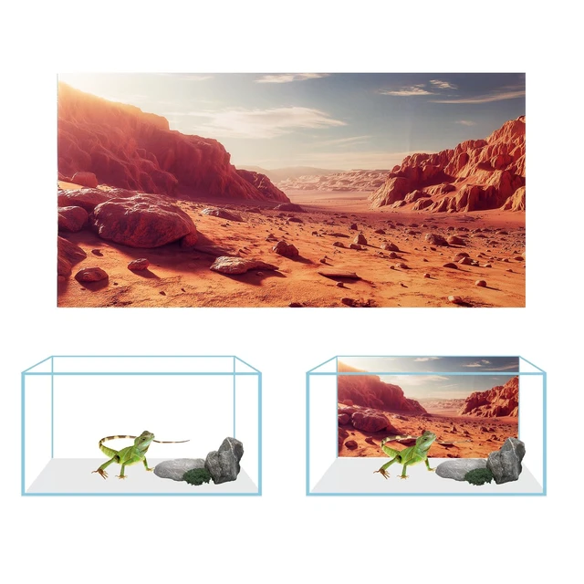 Alt view image 3 of 7 - 3 Pack Terrarium Background, 48x18 inch Polyester Reptile Background Cloth Terrarium Background, Gobi Sunshine Cactus Stone & Green Tree Fern Stream Backgrounds, Backgrounds for Reptile Tank