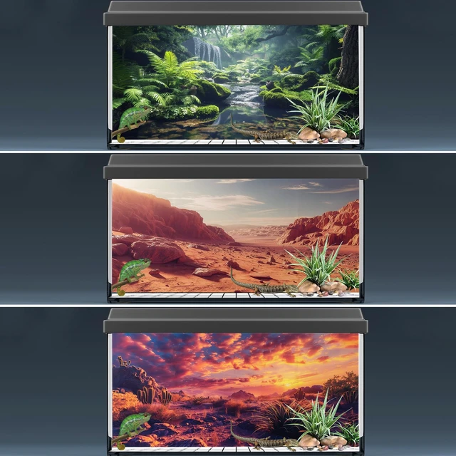 Alt view image 6 of 7 - 3 Pack Terrarium Background, 48x18 inch Polyester Reptile Background Cloth Terrarium Background, Gobi Sunshine Cactus Stone & Green Tree Fern Stream Backgrounds, Backgrounds for Reptile Tank