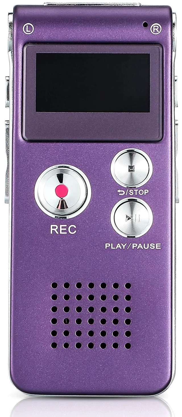 Main image of Ghost Hunting Equipment Paranormal Equipment for Ghost Hunting Digital EVP Voice Activated Recorder Rechargeable Recorder Device with Microphone, 8GB(Purple)