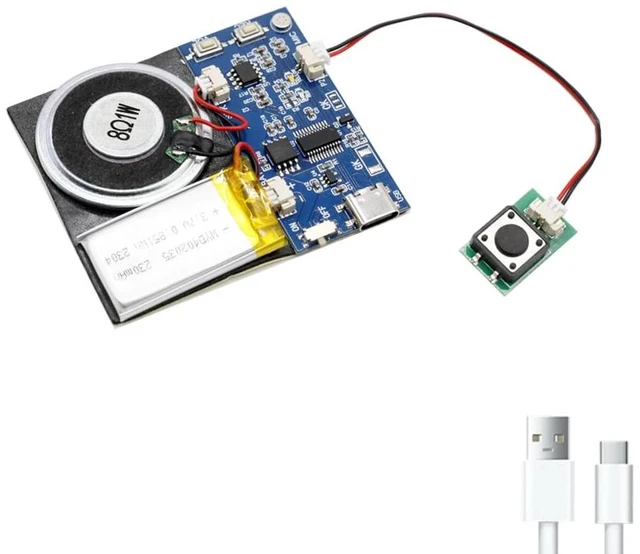 Main image of Module - 16MB Push Button Activated Sound Module with Speaker, Type-C Cable, and Easy Recording Capability16 Minutes for Personalized Greetings, DIY Projects, and Holiday Crafts (Blue-1 PC)