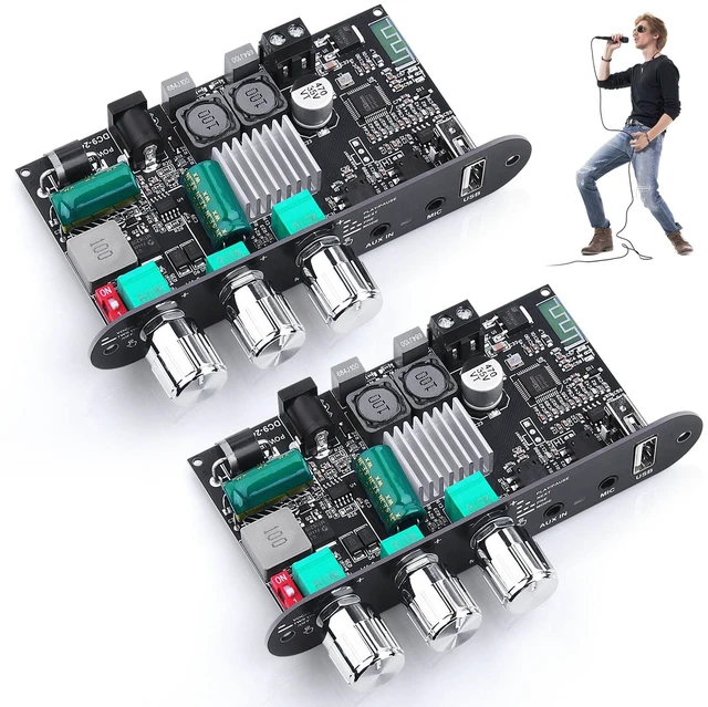 Main image of ZK-1001UM Bluetooth 5.3 Amplifier Board, 100W Mono Audio Amp with TWS Box Mini Boost Circuit Amps for Home Outdoor DIY Speakers, MIC and Reverb, USB/AUX Input,DC 9-24V (2 Pack)