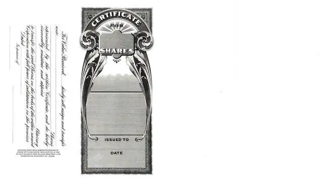 Alt view image 2 of 3 - Goes 193-1/2 Louisiana Stock Certificate, Certificate for Louisana, Size 8-1/2" x 15", Printable, Laser or Ink Jet Compatiable (Pack of 100)