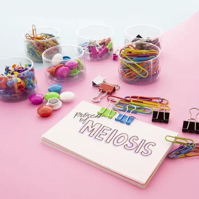 Alt view image 5 of 6 - Office Clips & Pins Set, Push Pins, Clips, Magnets, 12-Case | office clips and pins combo set: 80 push pins, 15 magnetic buttons, 150 paper clips, 24 small binder clips