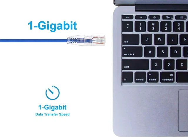 Alt view image 5 of 6 - Monoprice Cat6 Ethernet Patch Cable - 25 feet - Blue
