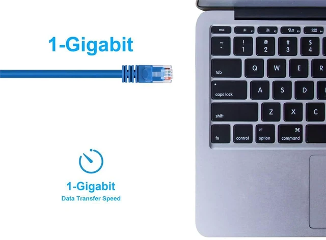 Alt view image 5 of 6 - Monoprice 102119 100-Feet 24AWG Cat6 550MHz UTP Ethernet Bare Copper Network Cable, Blue