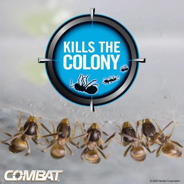 Alt view image 5 of 6 - Max Ant Killing Bait Stations, Indoor and Outdoor Use, 6 Count, (Pack of 2)