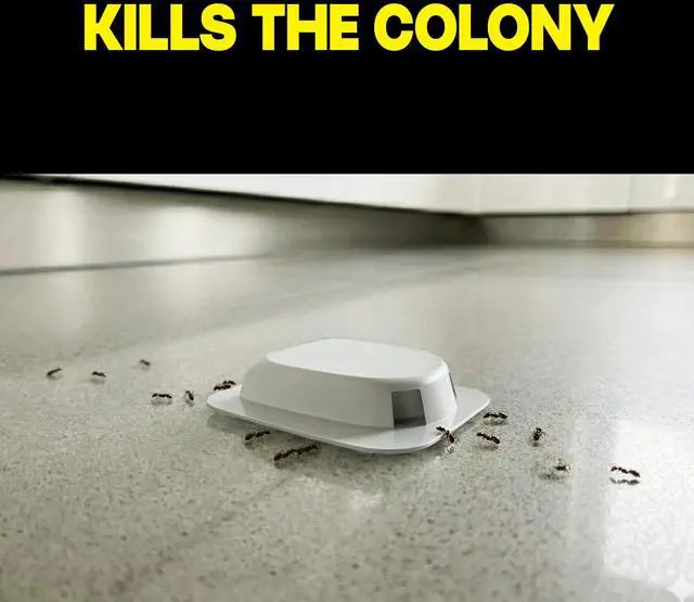 Alt view image 2 of 7 - Ant Killer Baits, for Household Use, Kills the Colony, Kills Ants for 3 Months, Child Resistant, 4 Count