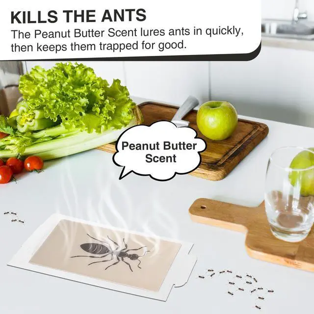 Alt view image 3 of 7 - 10pcs Ant Traps, Ant Spider Cockroach Trap Peanut Butter Scented