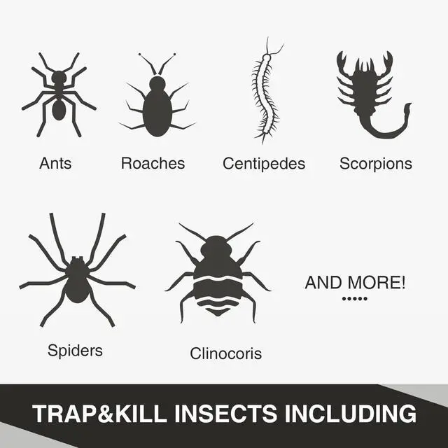 Alt view image 6 of 7 - 10pcs Ant Traps, Ant Spider Cockroach Trap Peanut Butter Scented