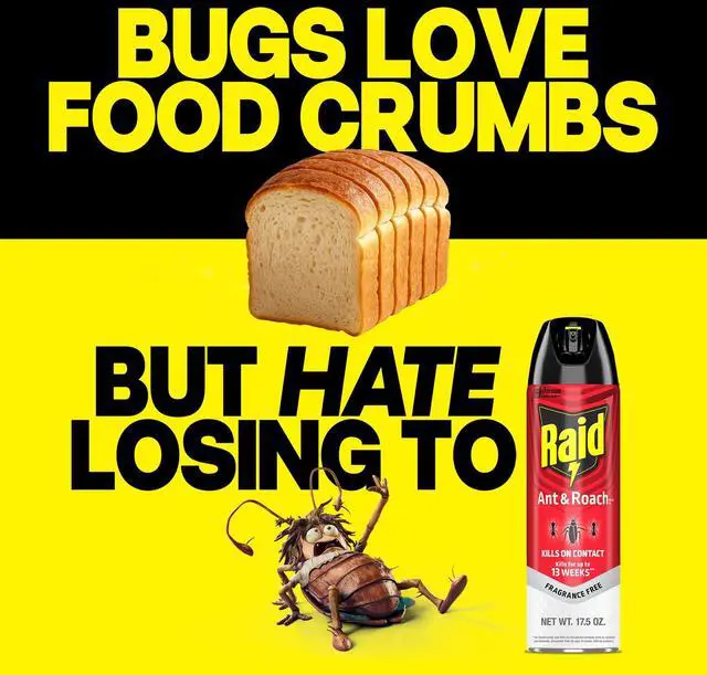 Alt view image 5 of 7 - Ant & Roach Killer 26, Fragrance Free Bug Killer for Home Use, Kills Bugs on Contact, 17.5 Oz, 2 Count