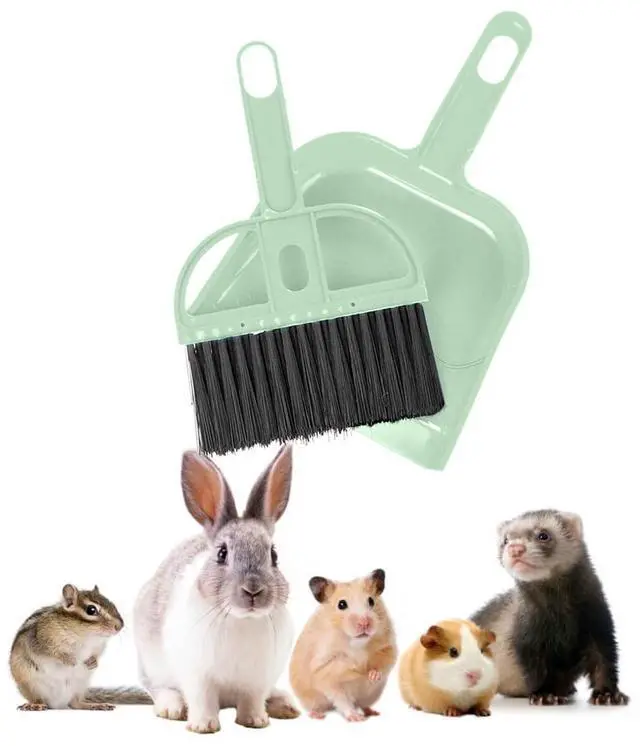 Main image of Mini Broom and Dustpan Set - Compact Cleaning Kit for Home, Car, Camping, Small Spaces, Pet Cleanup, and Travel - Durable Small Broom and Dustpan Set Mini - Mint Green Broom