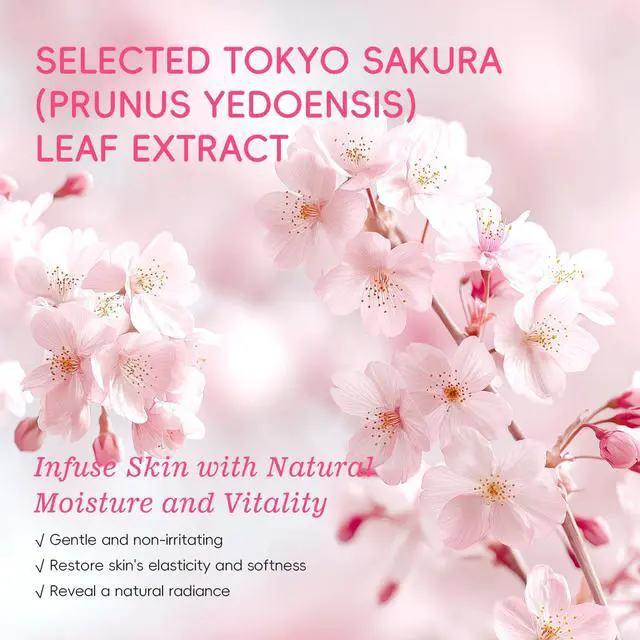 Alt view image 6 of 6 - Japan Sakura Moisturizing Foot Mask, Foot Mask for Dry Cracked Feet