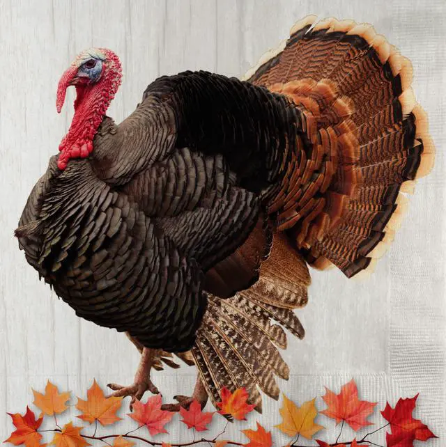 Main image of 75-Pack 2-Ply Disposable Thanksgiving Napkins - Harvest Turkey Design, Autumn Fall Party Supplies, Durable Dinner Size 6.5" x 6.5"