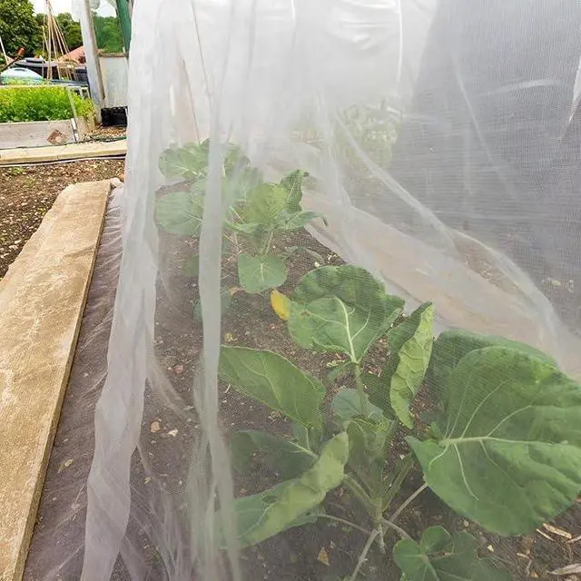 Main image of 10 x 13ft Mosquito Netting Garden Insect Bug Mesh Netting Garden Patio Mesh Screen Net Fly Insect Bug Bird Net Barrier for Patio Balcony Porch Gazebo Vegetables Fruits Plant Protection(White)