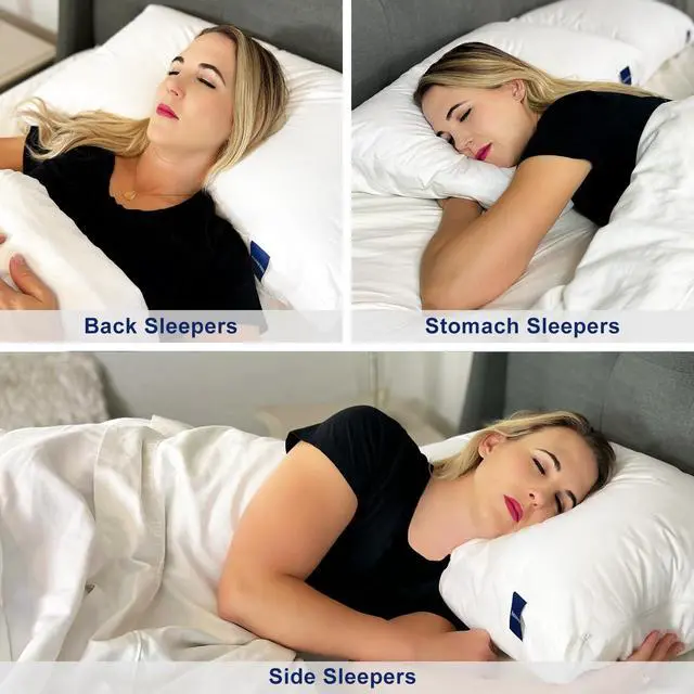 Alt view image 5 of 6 - Standard Pillow 1-Pack, Adjustable Shredded Memory Foam Pillow