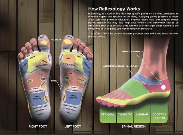 Alt view image 3 of 5 - Foot Massager for Plantar Fasciitis Relief, Neuropathy, Feets Pain Roller, Relaxing Gift for Mom and Grandmother