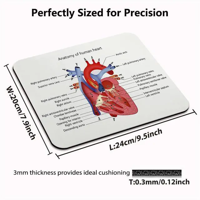 Alt view image 2 of 6 - Educational Mouse Pad, Structure of The Heart Human Body Anatomy Desk Mat