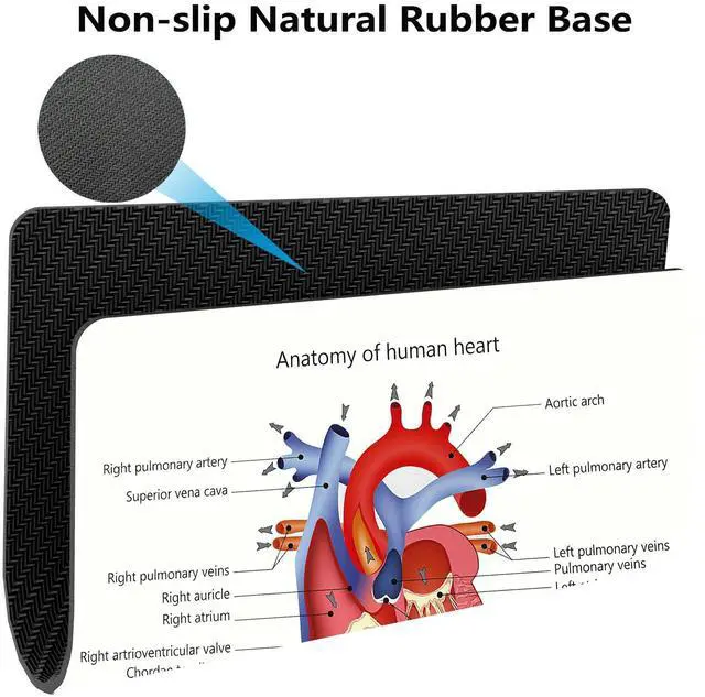 Alt view image 4 of 6 - Educational Mouse Pad, Structure of The Heart Human Body Anatomy Desk Mat