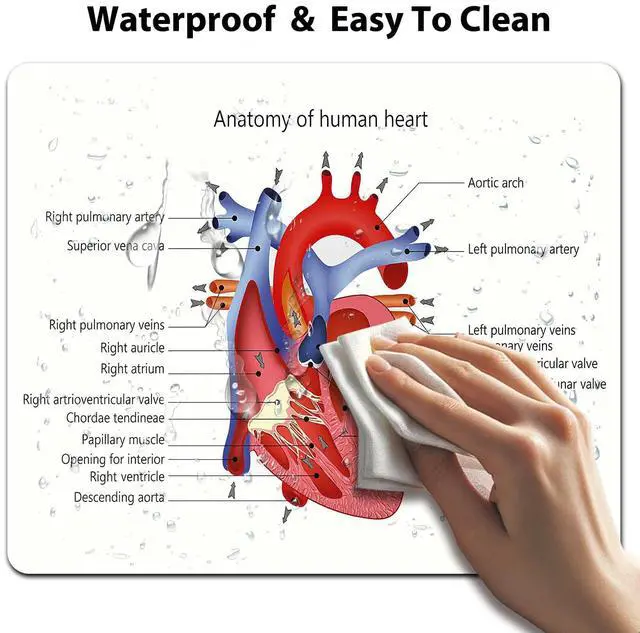 Alt view image 5 of 6 - Educational Mouse Pad, Structure of The Heart Human Body Anatomy Desk Mat