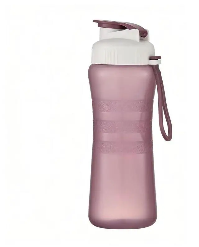 Main image of Sports Water Bottle, BPA-Free PP, Leakproof Flip-Top Lid with Carry Strap, 17 oz, for Gym, Hiking, and Everyday Use (Purple)