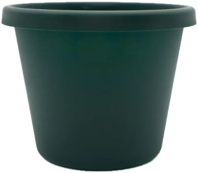 Main image of Prima Round Plastic Plant Pot w/Rolled Rim - Lightweight & UV Resistant Flower Pot for Herbs & More - Outdoor & Indoor Plant Pots w/Drainage (6 inch, Evergreen, Pack of 1)