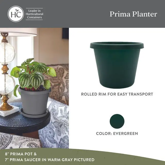 Alt view image 2 of 7 - Prima Round Plastic Plant Pot w/Rolled Rim - Lightweight & UV Resistant Flower Pot for Herbs & More - Outdoor & Indoor Plant Pots w/Drainage (6 inch, Evergreen, Pack of 1)