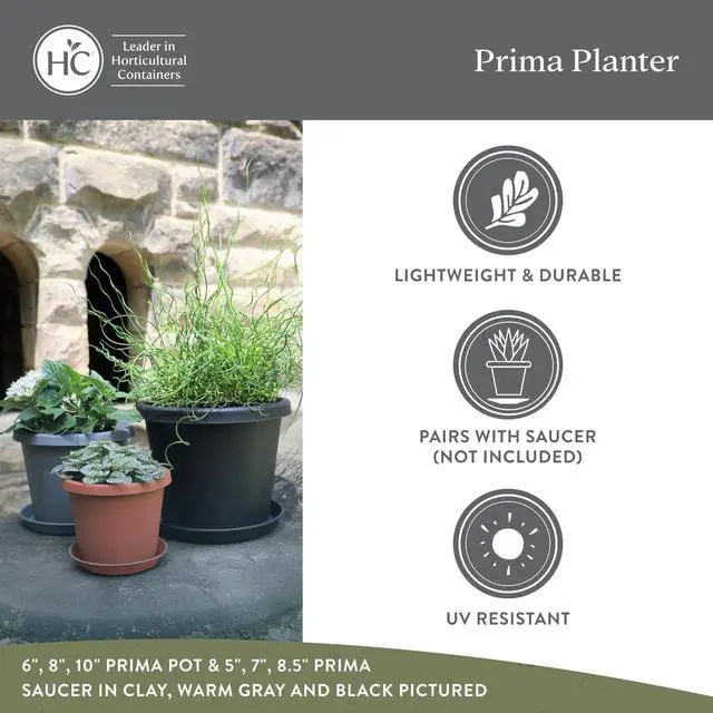 Alt view image 4 of 7 - Prima Round Plastic Plant Pot w/Rolled Rim - Lightweight & UV Resistant Flower Pot for Herbs & More - Outdoor & Indoor Plant Pots w/Drainage (6 inch, Evergreen, Pack of 1)