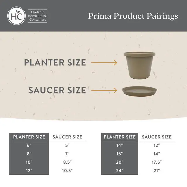 Alt view image 7 of 7 - Prima Round Plastic Plant Pot w/Rolled Rim - Lightweight & UV Resistant Flower Pot for Herbs & More - Outdoor & Indoor Plant Pots w/Drainage (6 inch, Evergreen, Pack of 1)