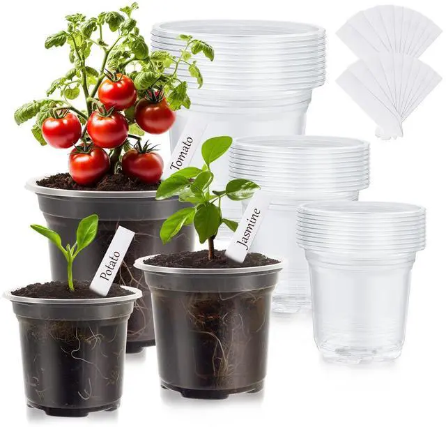 Main image of 30 Pack Clear Nursery Plant Pots, 3.5/4/5 In with Drainage Holes, 20 Labels | High Transparency (Clear View of Root Growth), Variety Pack, Good Drainage, 20 Pack Easy-ID Plant Labels