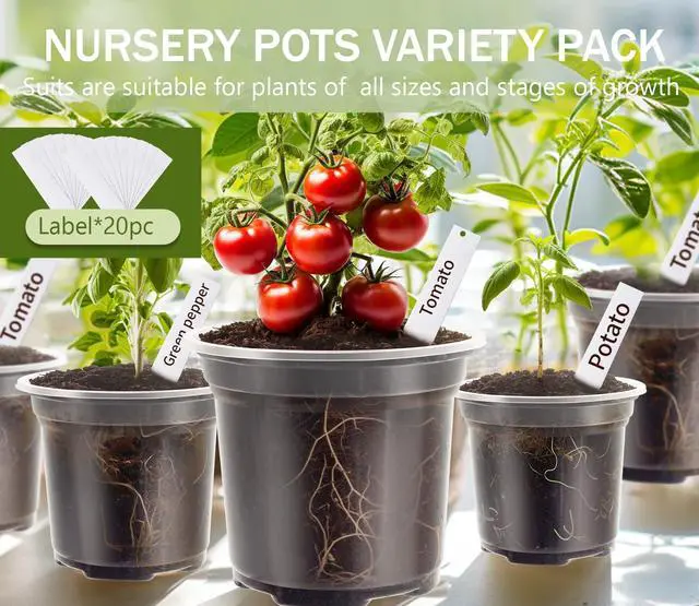Alt view image 4 of 7 - 30 Pack Clear Nursery Plant Pots, 3.5/4/5 In with Drainage Holes, 20 Labels | High Transparency (Clear View of Root Growth), Variety Pack, Good Drainage, 20 Pack Easy-ID Plant Labels