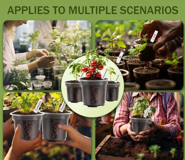 Alt view image 7 of 7 - 30 Pack Clear Nursery Plant Pots, 3.5/4/5 In with Drainage Holes, 20 Labels | High Transparency (Clear View of Root Growth), Variety Pack, Good Drainage, 20 Pack Easy-ID Plant Labels