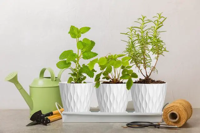 Alt view image 5 of 7 - 4 Inch Plant Pots, 6 Pack Indoor Flower Pots, Planters with Drainage Holes and Trays for Orchids, Violets, Succulents, Herbs, and Other Plants,White
