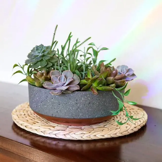 Alt view image 2 of 6 - 8 Inch Round Plastic Succulent Capri Bowl 8"x8"x3" in Faux Concrete Color with Copper Band | Decorative Plastic Indoor Flower & Succulent Planter Pot with Drain Plug Hole, Faux Concrete Finish