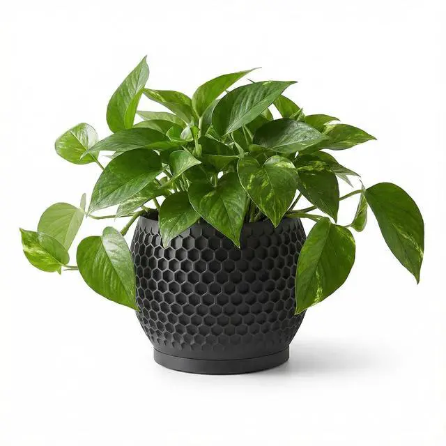 Main image of Plant Pots, Modern 3D Printed Honeycomb Planters for Indoor Plants, 4.7 Inch Matte Black Decorative Flower Pot for Office Desktop, Bookshelf & Home Decor, Lightweight & Durable.