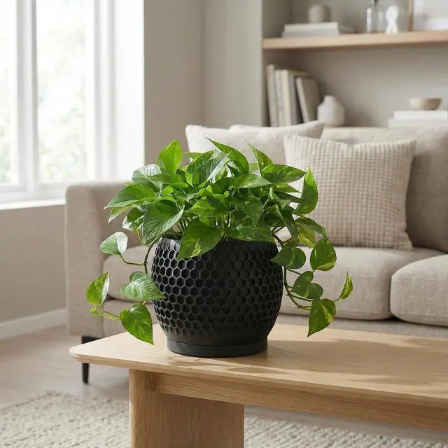 Alt view image 6 of 7 - Plant Pots, Modern 3D Printed Honeycomb Planters for Indoor Plants, 4.7 Inch Matte Black Decorative Flower Pot for Office Desktop, Bookshelf & Home Decor, Lightweight & Durable.