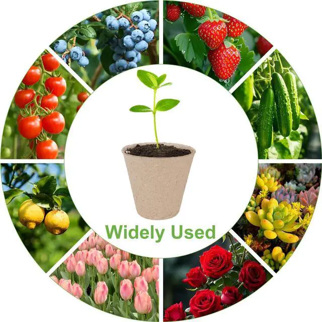 Alt view image 5 of 7 - 30 Pack Peat Pots, 3.1 Inch Seed Starting Pots, No Drainage Holes | No Transplant Shock, Biodegradable Round Nursery Pot, Starting Seeds of Vegetables, Herbs, and Flowers