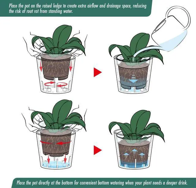 Alt view image 5 of 7 - 3.5 Inch Black Plastic Cachepot with Clear Nursery Pot, Decorative Lightweight Planter Cover with Transparent Inner Pot for Indoor Houseplants, Pack of 1, 24-A-E-1